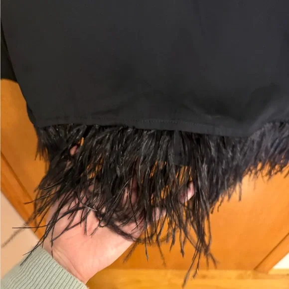 Elegant Black Long Sleeve Blouse with Feather Detail - Picture 10 of 11